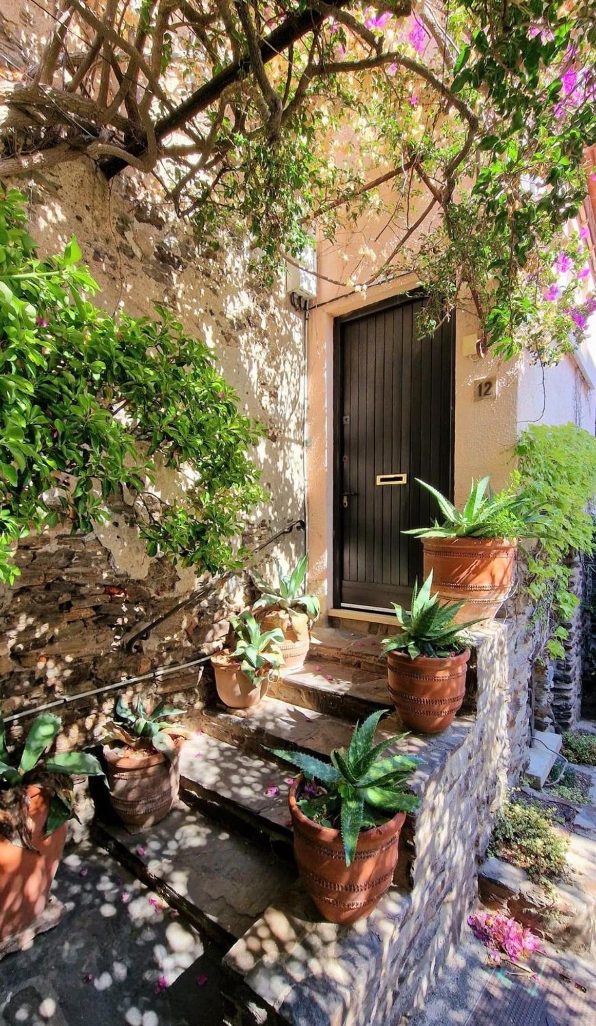 6Alz8 Appartement Pour 6 Personnes Collioure Exterior photo